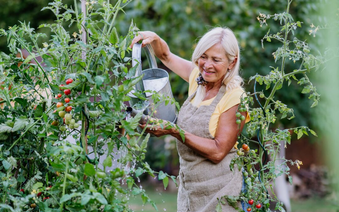 water recycling to use in garden